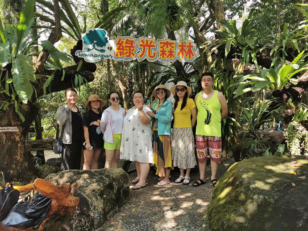出發(fā)在鴻成，暢爽泰國游(圖2)